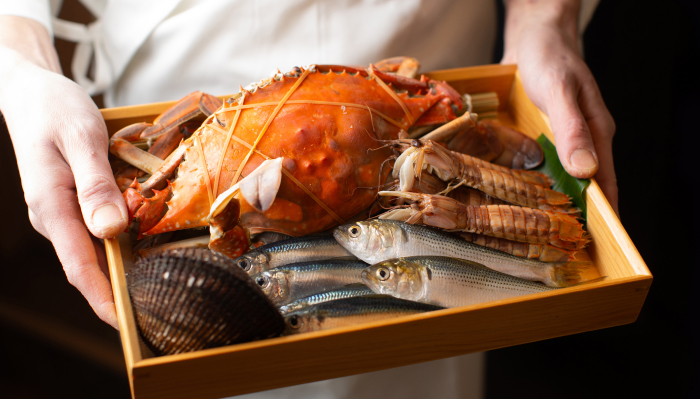 CM動画代替画像